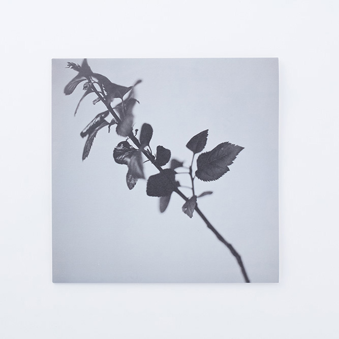 Marihiko Hara『Flora』12inch Vinylのジャケット・投げ込みを当社のデジタル印刷（NDP）にて製作